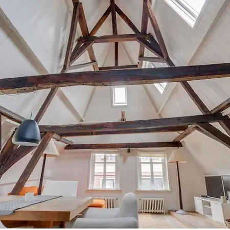 Hoogwaardig Afgewerkt Loft In Oude Stadscentrum * Alkmaar