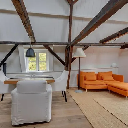 Hoogwaardig Afgewerkt Loft In Oude Stadscentrum 아파트