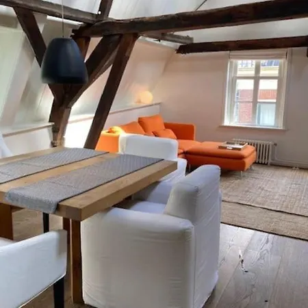 Hoogwaardig Afgewerkt Loft In Oude Stadscentrum Lejlighed *