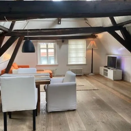 Hoogwaardig Afgewerkt Loft In Oude Stadscentrum 아파트 *
