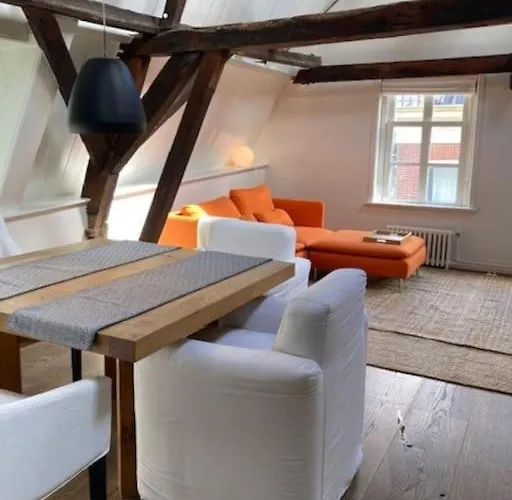 Hoogwaardig Afgewerkt Loft In Oude Stadscentrum 아파트 *