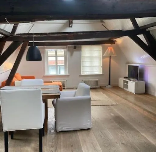 Hoogwaardig Afgewerkt Loft In Oude Stadscentrum 아파트 *